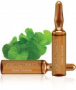 InstituteBCN Tigrisfű - Asian Centella ampulla 2ml