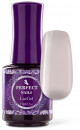 Perfect Nails LacGEL Körömlakk zselé 15ml #054 PNZ7055