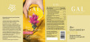 GAL Bio-Curcumin+ Forte | GAHUKT22