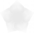 Perfect Nails Akril festék #048 Perfect white PNAK048