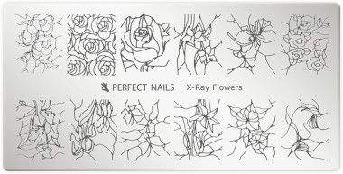 Perfect Nails Körömnyomda lemez - X-Ray Flowers | PNDNY038