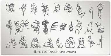Perfect Nails Körömnyomda lemez - Line Drawing | PNDNY070